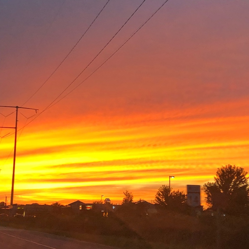 Meet your Posher, Matilda